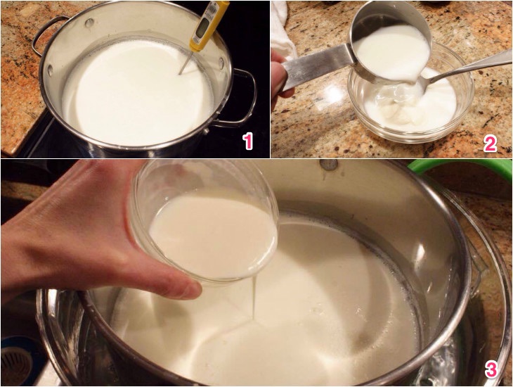 Cách làm sữa chua Hy Lạp bằng nồi cơm điện