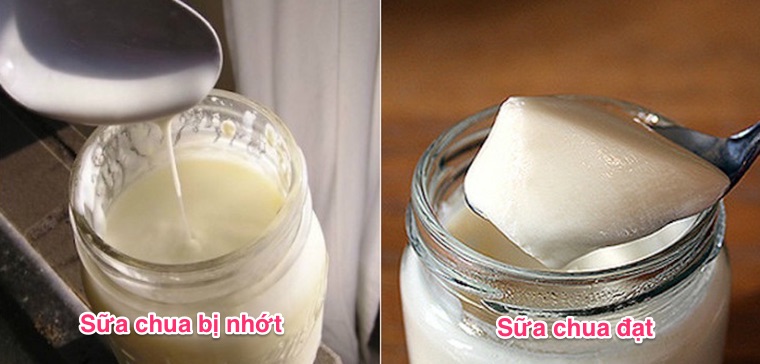 3 cách ủ sữa chua bằng nồi áp suất điện đơn giản bất bại dẻo mịn thơm ngon