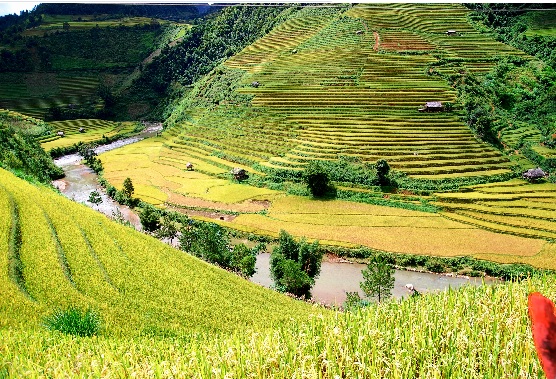 Xóa chi tiết dư thừa trên ảnh chỉ với 1 click chuột, đang miễn phí có hạn