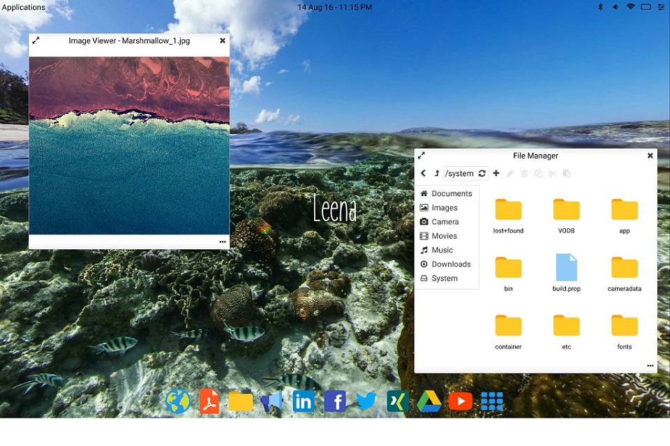 Leena Desktop UI Leena Desktop UI