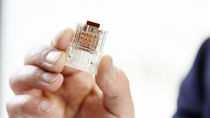 Tương lai của sự tích hợp