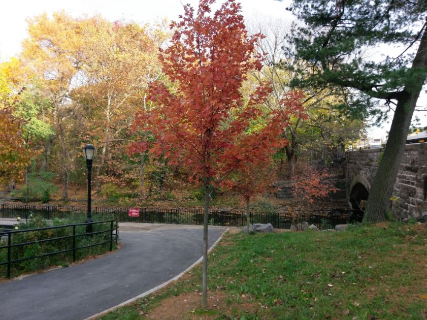 HTC 10 với camera HDR off