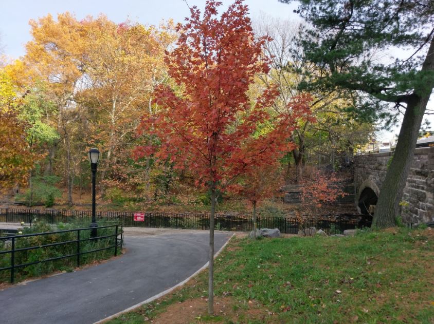 HTC 10 với camera HDR on