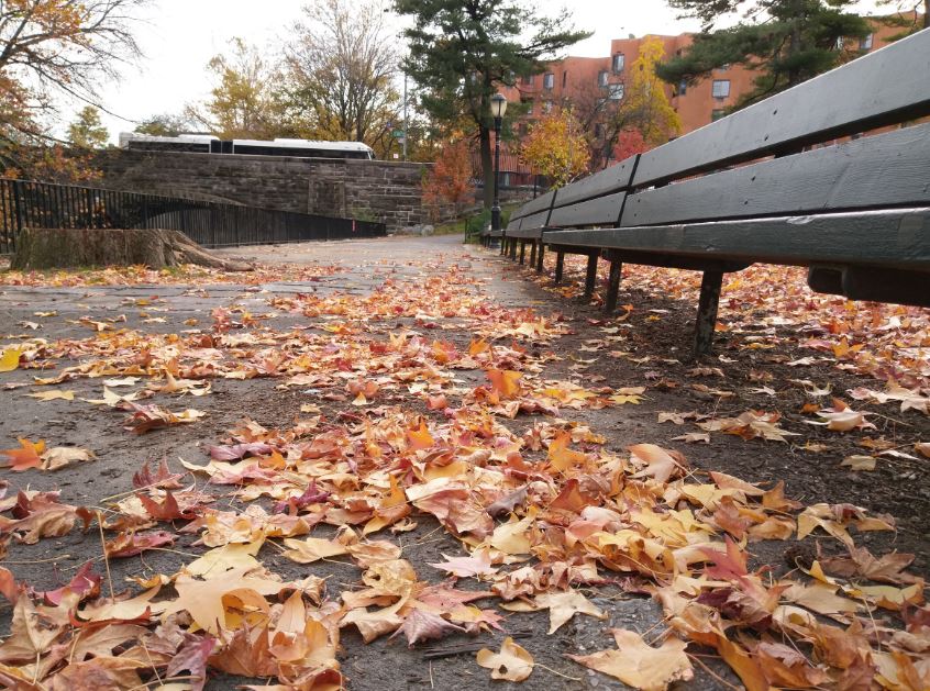 Xem bộ ảnh chụp từ camera 16MP của HTC Bolt