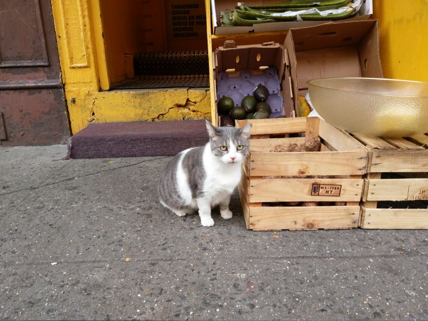 Xem bộ ảnh chụp từ camera 16MP của HTC Bolt