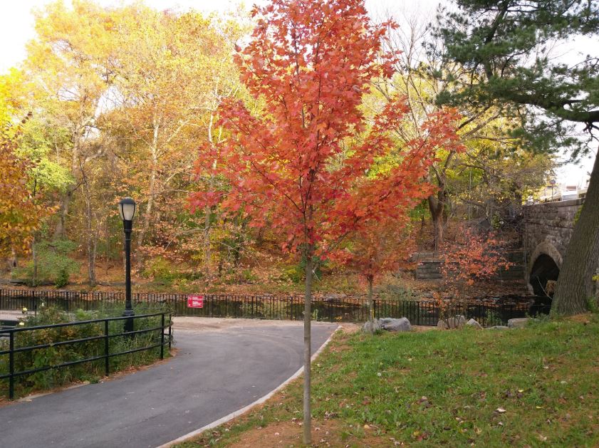 HTC Bolt với camera HDR off