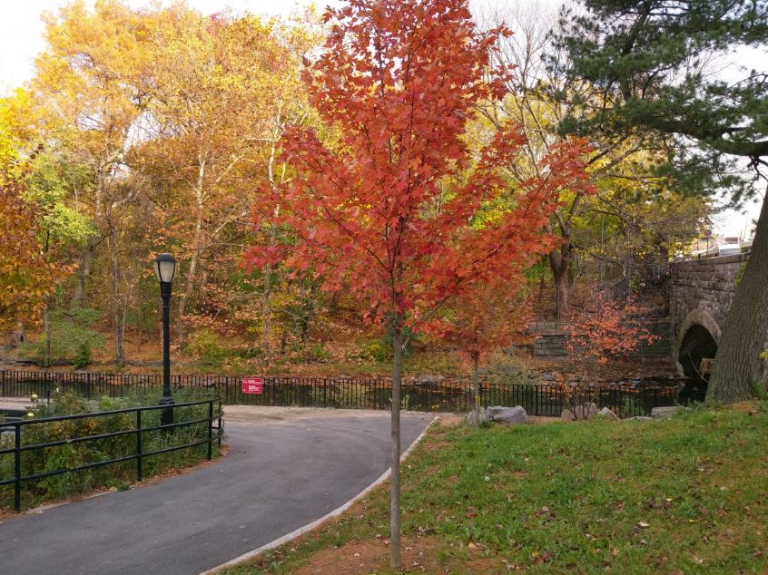 HTC Bolt với camera HDR on