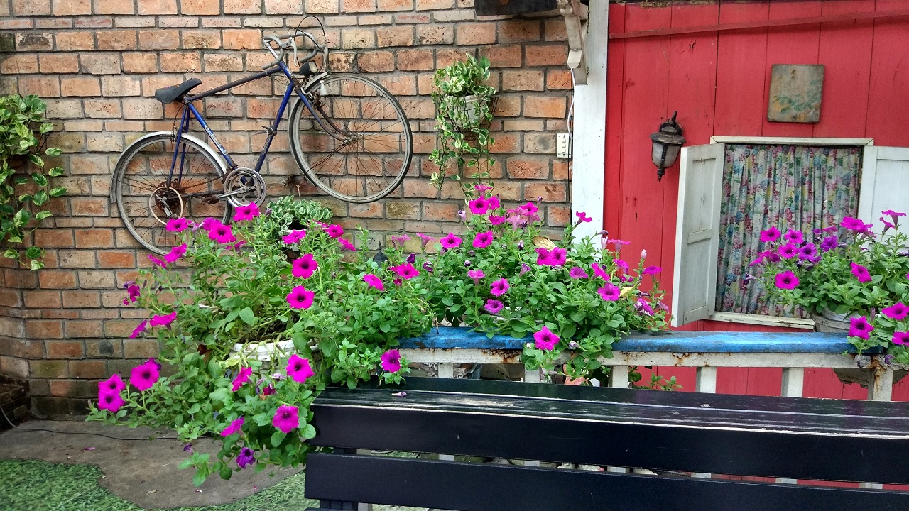 Ảnh chụp từ Camera chính trên Xiaomi Mi 5