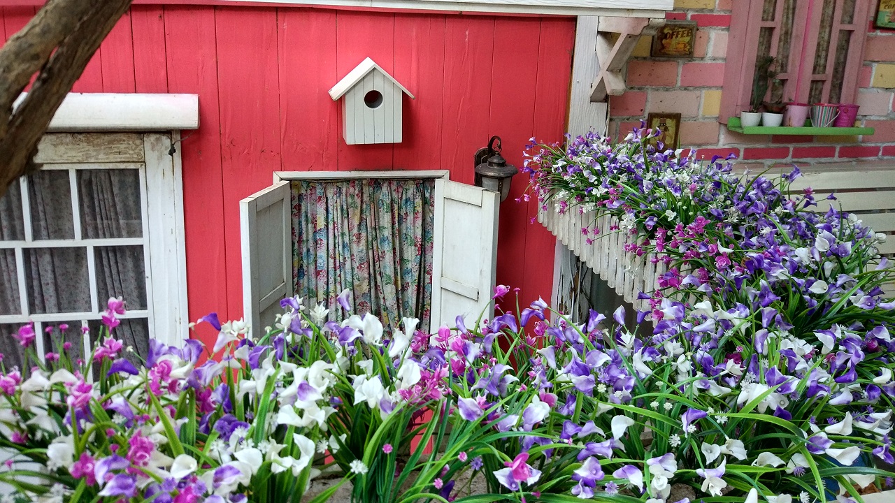 Ảnh chụp từ Camera chính trên Xiaomi Mi 5