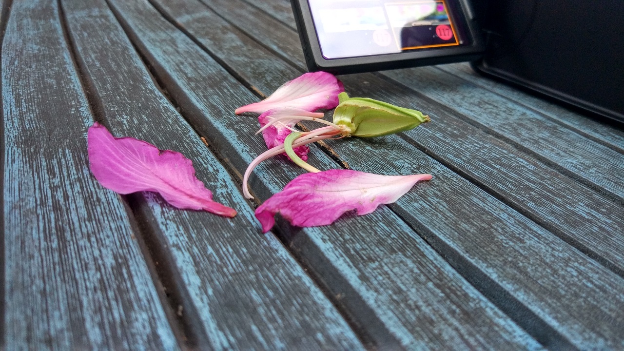 Ảnh chụp từ Camera chính trên Xiaomi Mi 5