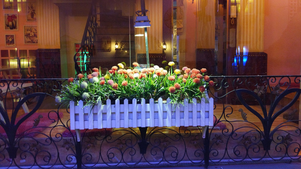 Ảnh chụp từ camera chính Xiaomi Mi 5