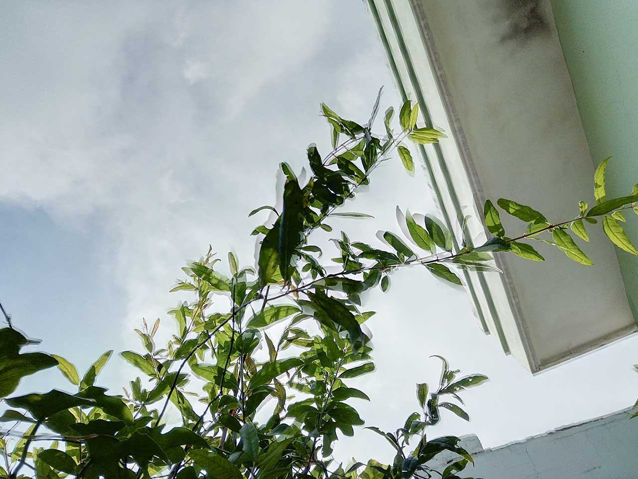 đánh giá Mobiistar Prime X 2017