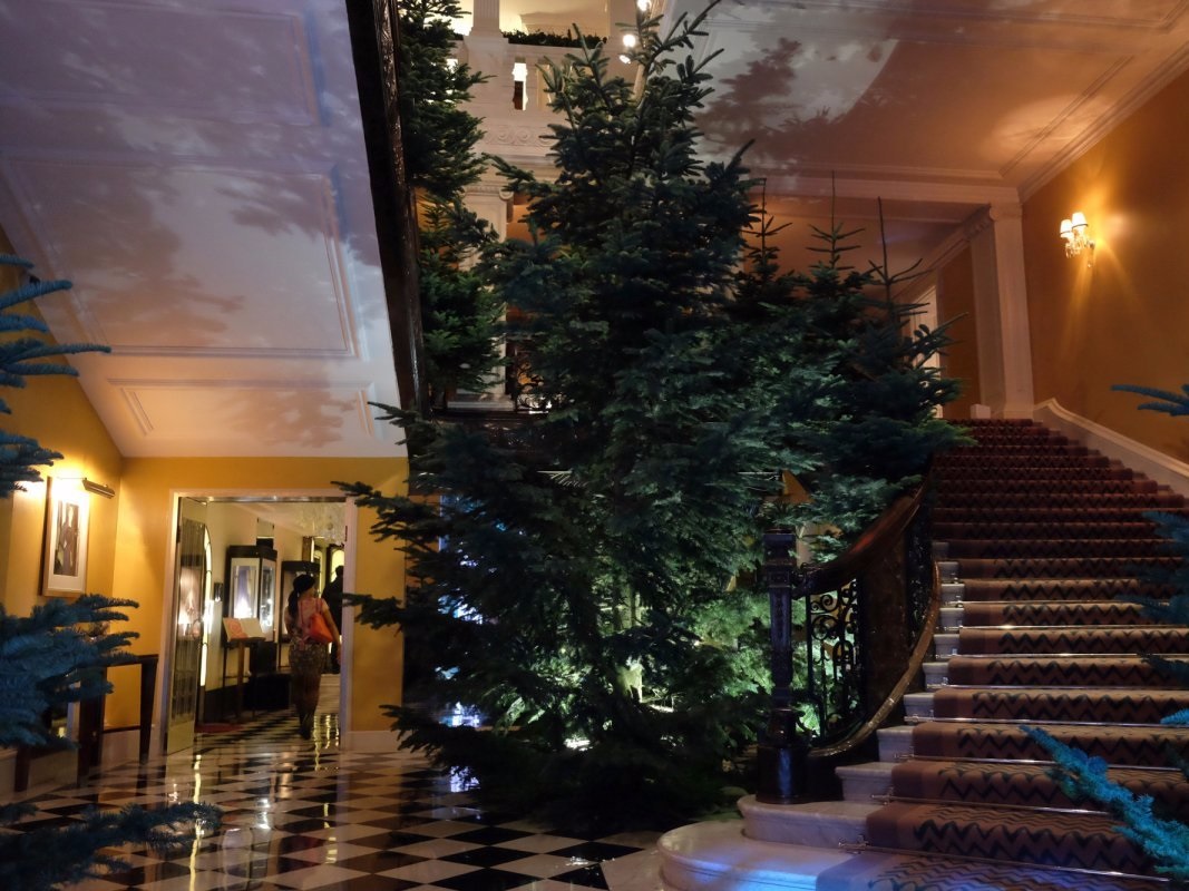Khách sạn Claridge's tại London với những cây Giáng sinh do Jony Ive thiết kế Khách sạn Claridge's tại London với những cây Giáng sinh do Jony Ive thiết kế