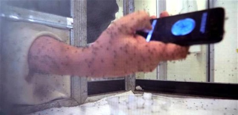 Cách đuổi muỗi bằng điện thoại Android