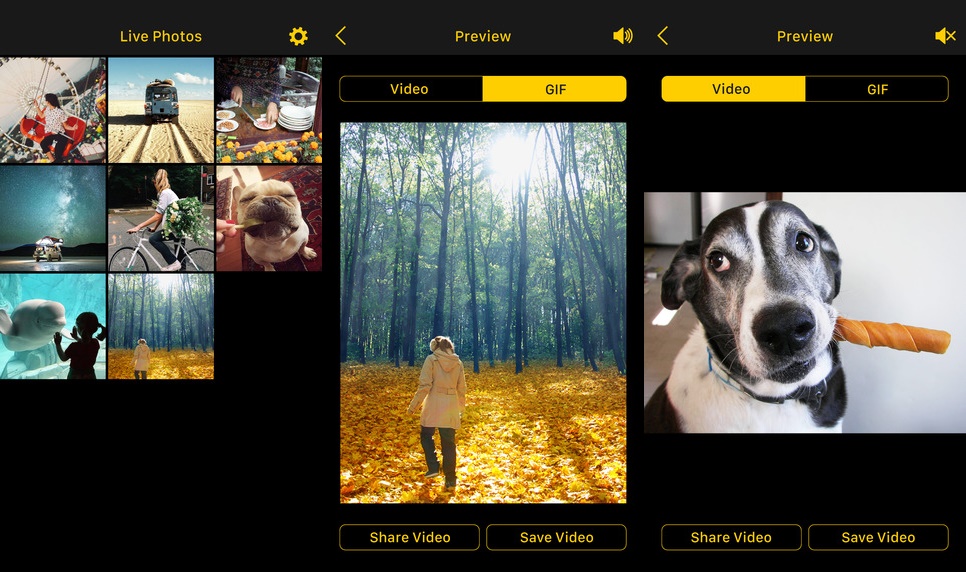 Trước khi được miễn phí, Live 2 GIF có giá 2,99 USD Trước khi được miễn phí, Live 2 GIF có giá 2,99 USD
