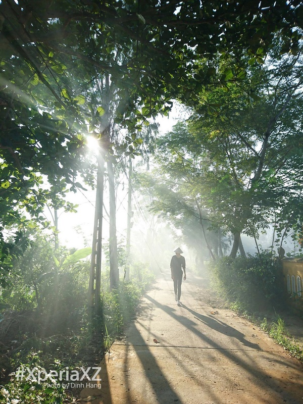 Hoài Phố, Hội An