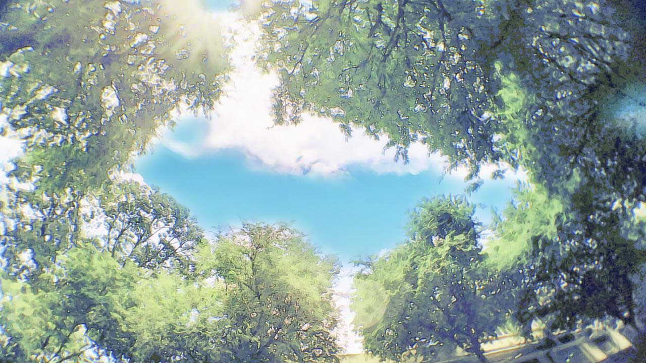tải Everfilter tải Everfilter