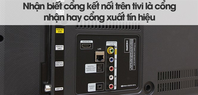 Nhận biết cổng kết nối trên tivi là cổng nhận hay cổng xuất tín hiệu