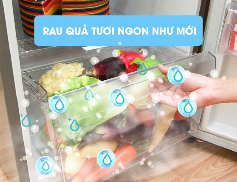 Ngăn rau quả kích thước lớn