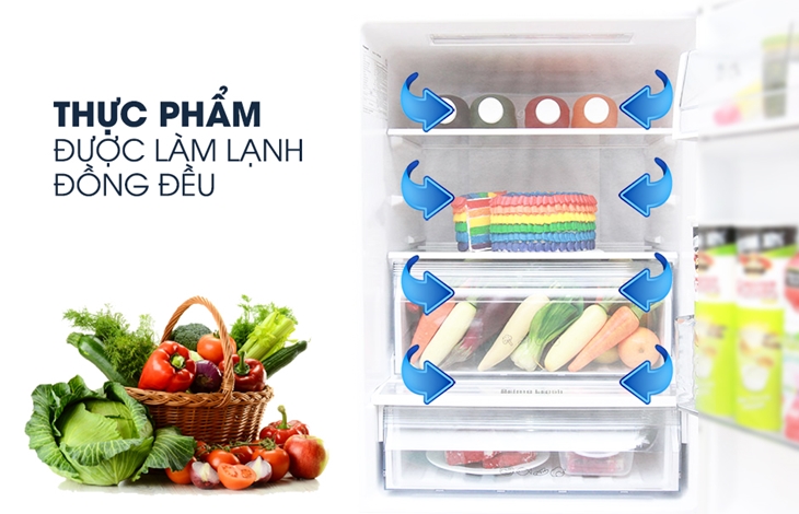 Tủ lạnh Panasonic 255 lít NR-BV288GKVN