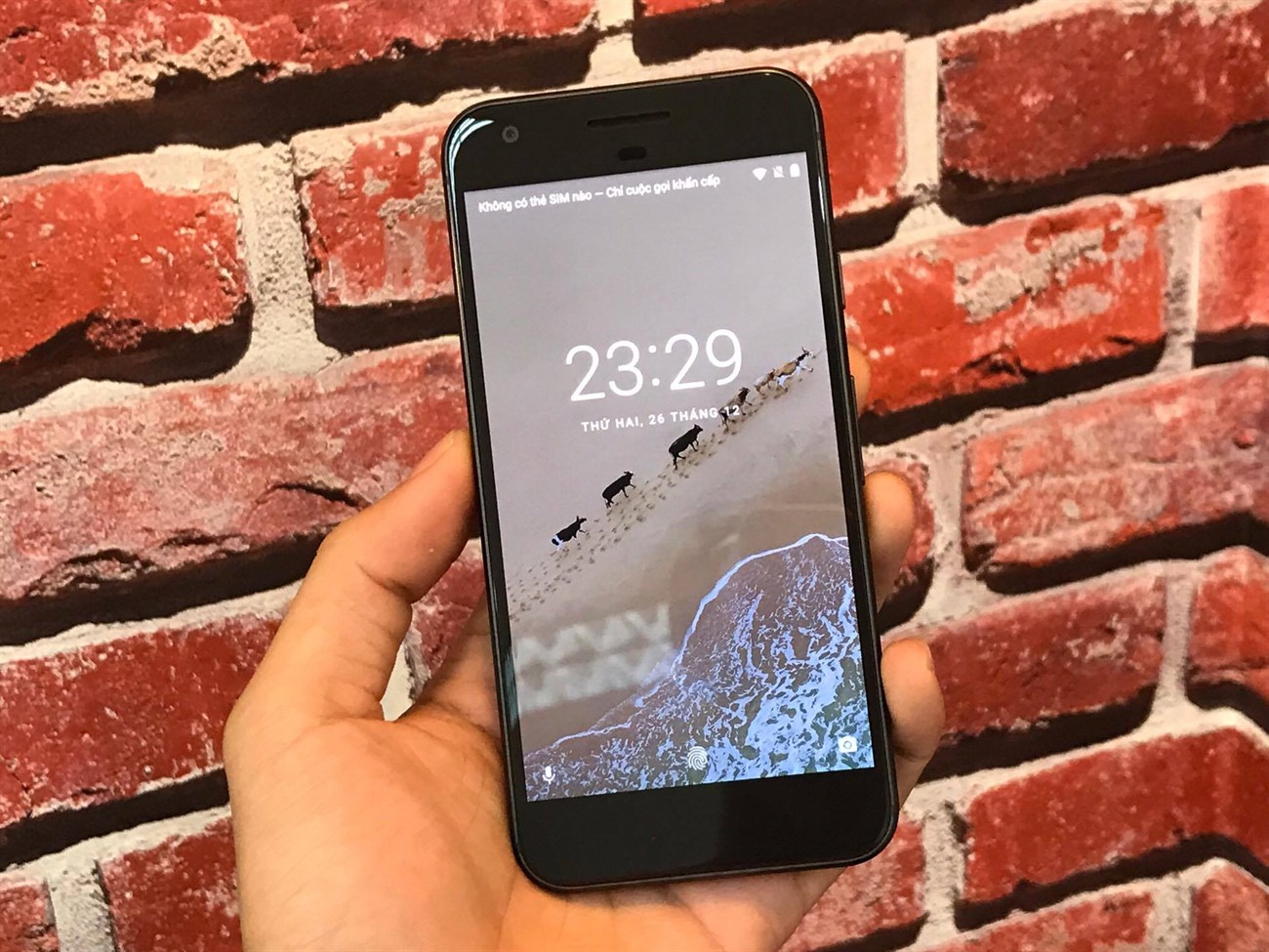 Chiêm ngưỡng hình ảnh Google Pixel tại team Tin tức TGDĐ