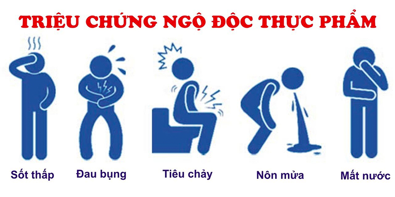 Cách để ngâm rửa rau, hoa quả sạch thuốc trừ sâu, dư lượng kháng sinh