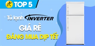 Top 5 tủ lạnh Inverter giá rẻ thích hợp sắm sửa cho dịp Tết này