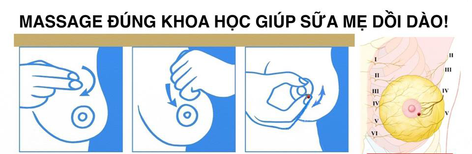 3 phút massage giúp ngực chuẩn bị tốt hơn cho việc vắt sữa 3 phút massage giúp ngực chuẩn bị tốt hơn cho việc vắt sữa