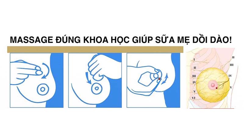 3 phút massage giúp ngực chuẩn bị tốt hơn cho việc vắt sữa