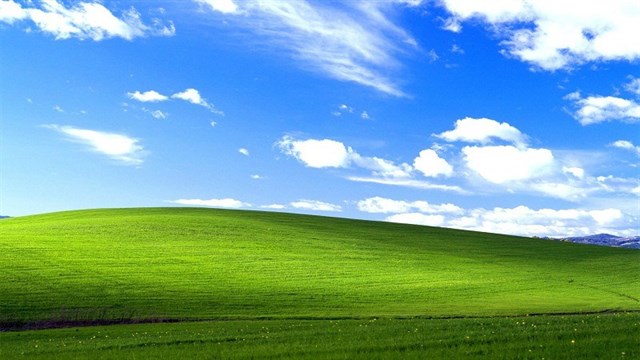 Hình nền mặc định của Windows XP được chọn theo tiêu chí gì?
