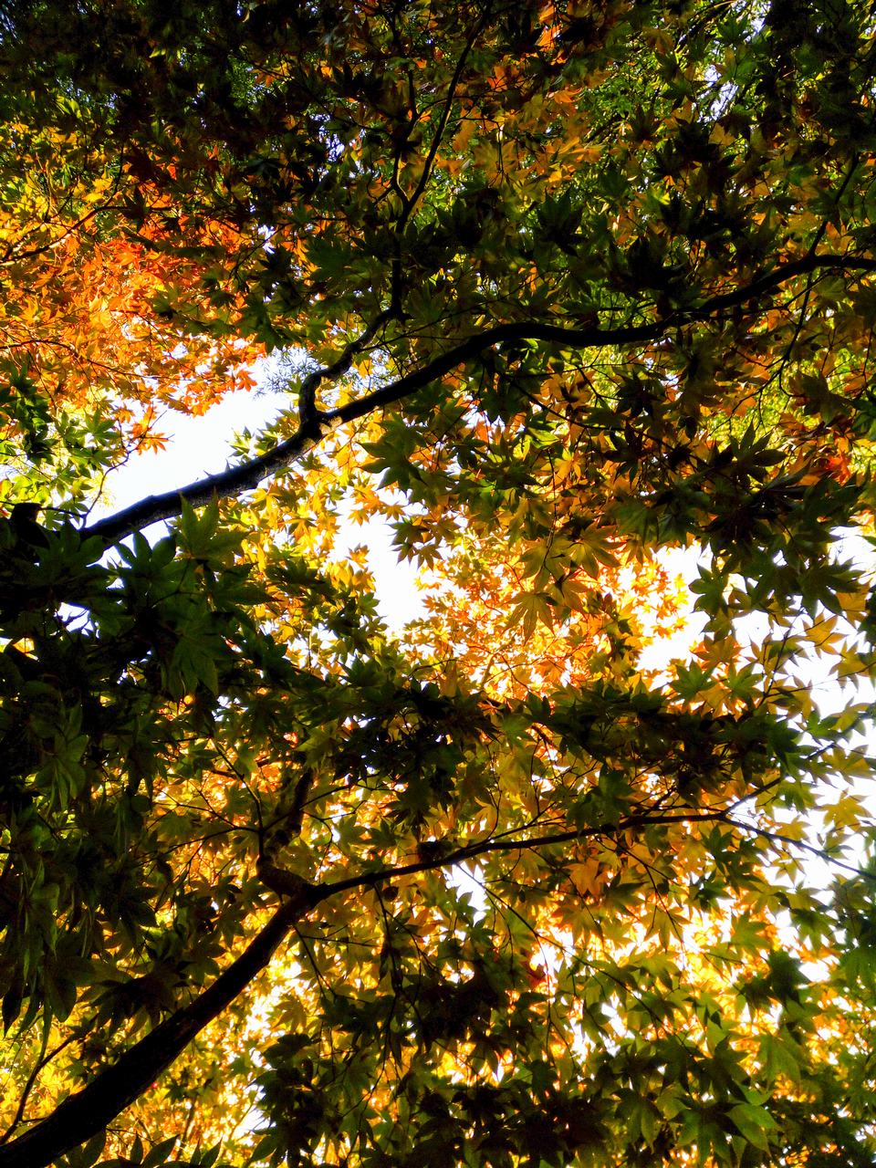 Bộ ảnh chụp ấn tượng từ camera của Infinix Zero 4