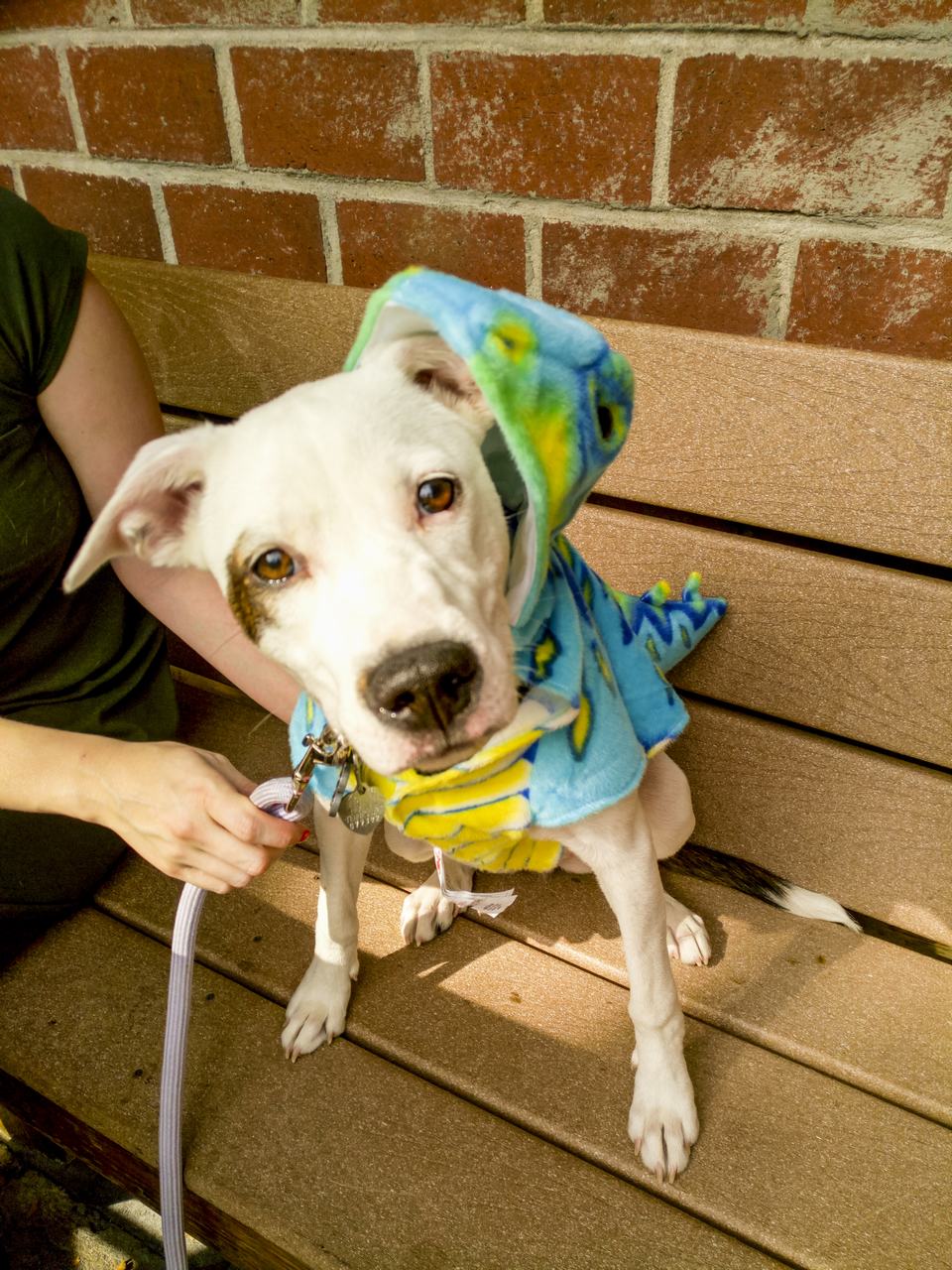 Bộ ảnh chụp ấn tượng từ camera của Infinix Zero 4