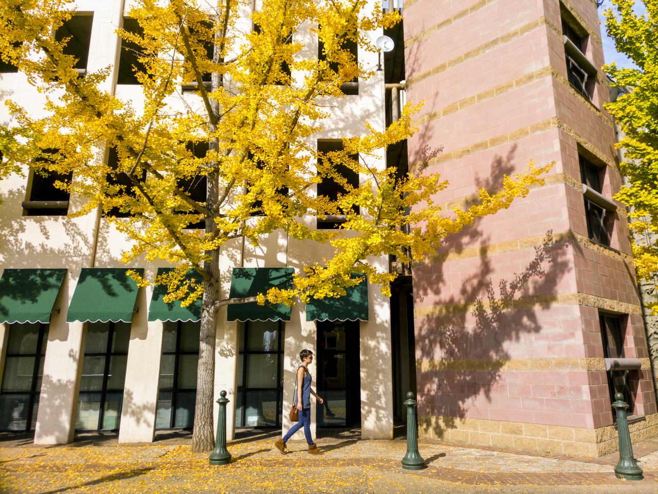 Bộ ảnh chụp ấn tượng từ camera của Infinix Zero 4