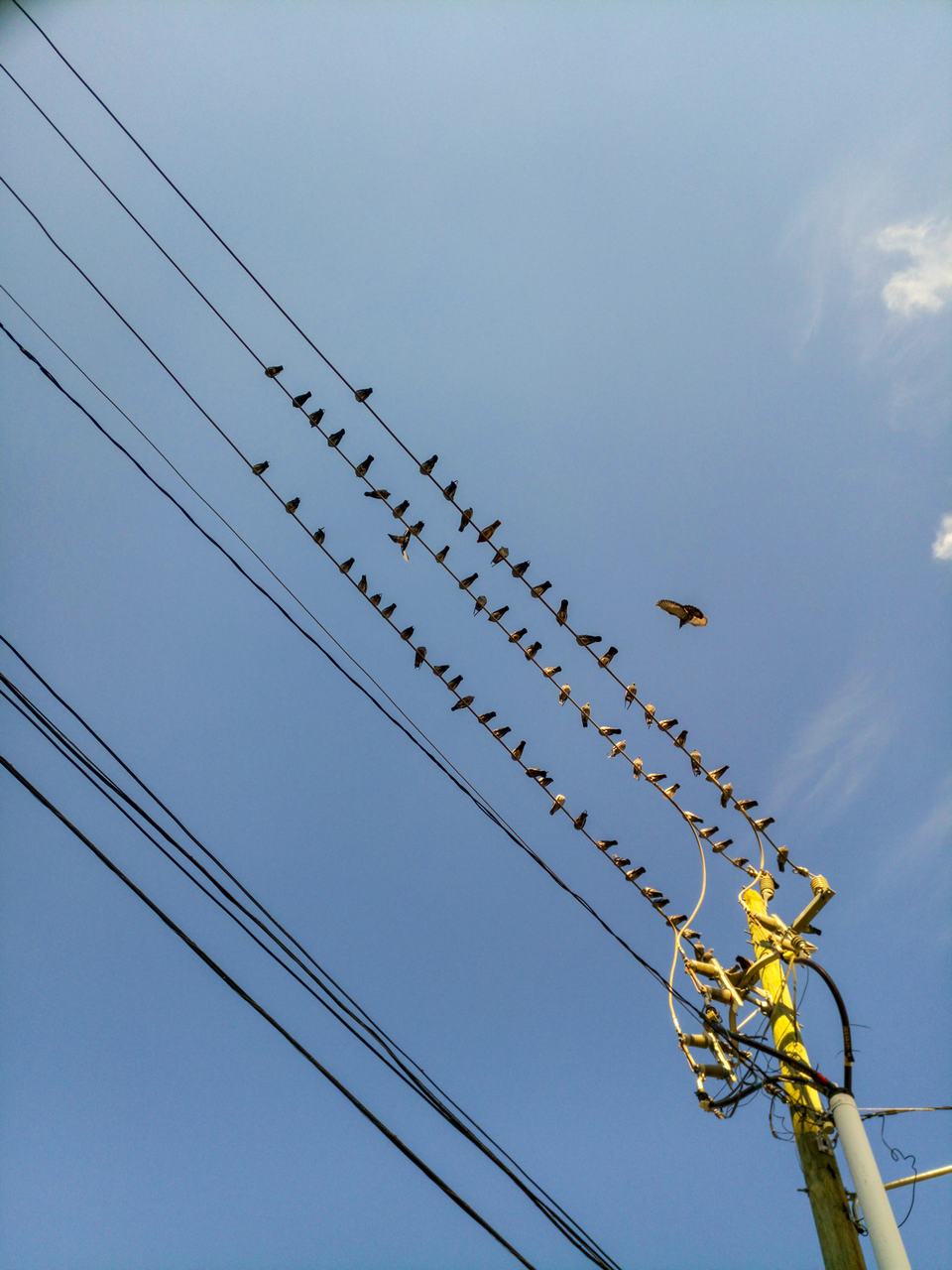 Bộ ảnh chụp ấn tượng từ camera của Infinix Zero 4