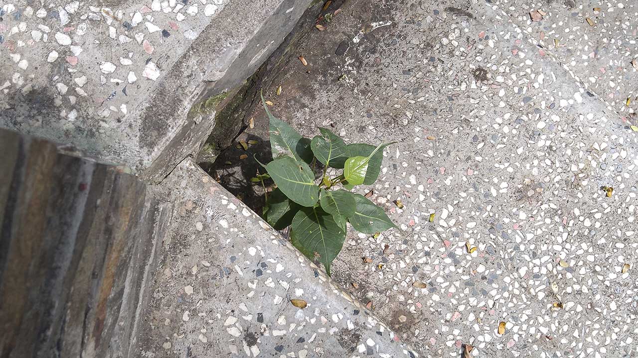 đánh giá chi tiết Lenovo K6 Note