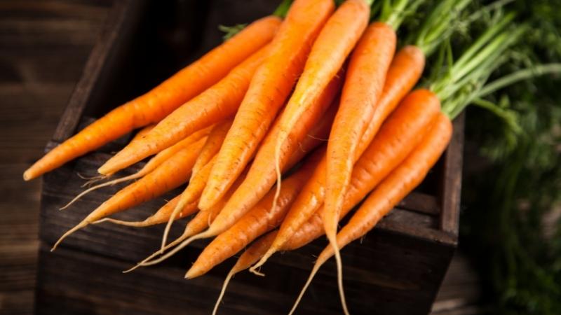 Effects of carrots on health
