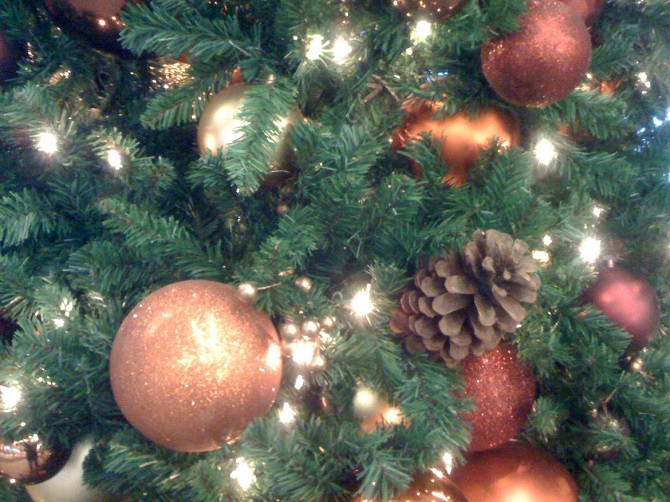 Xem lại bộ ảnh được chụp từ cụ tổ iPhone ra mắt năm 2007