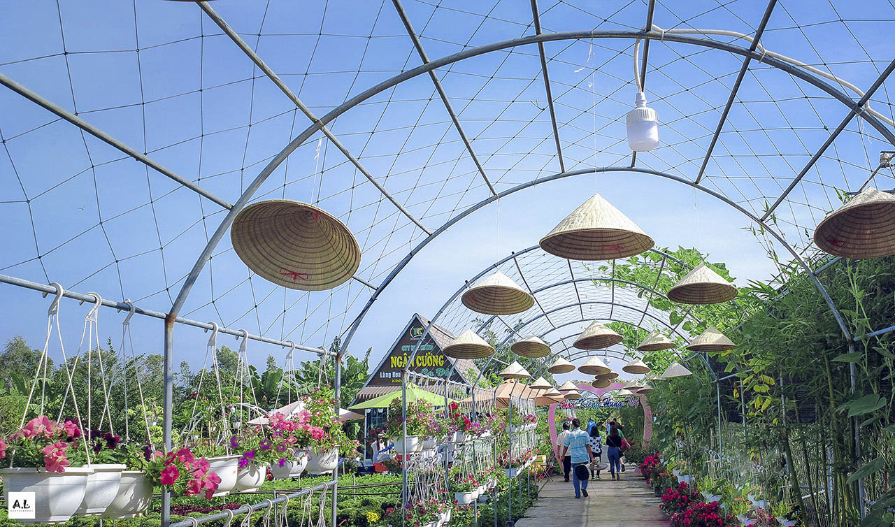 bộ ảnh làng hoa Sa đéc bằng Nokia 808 PureView