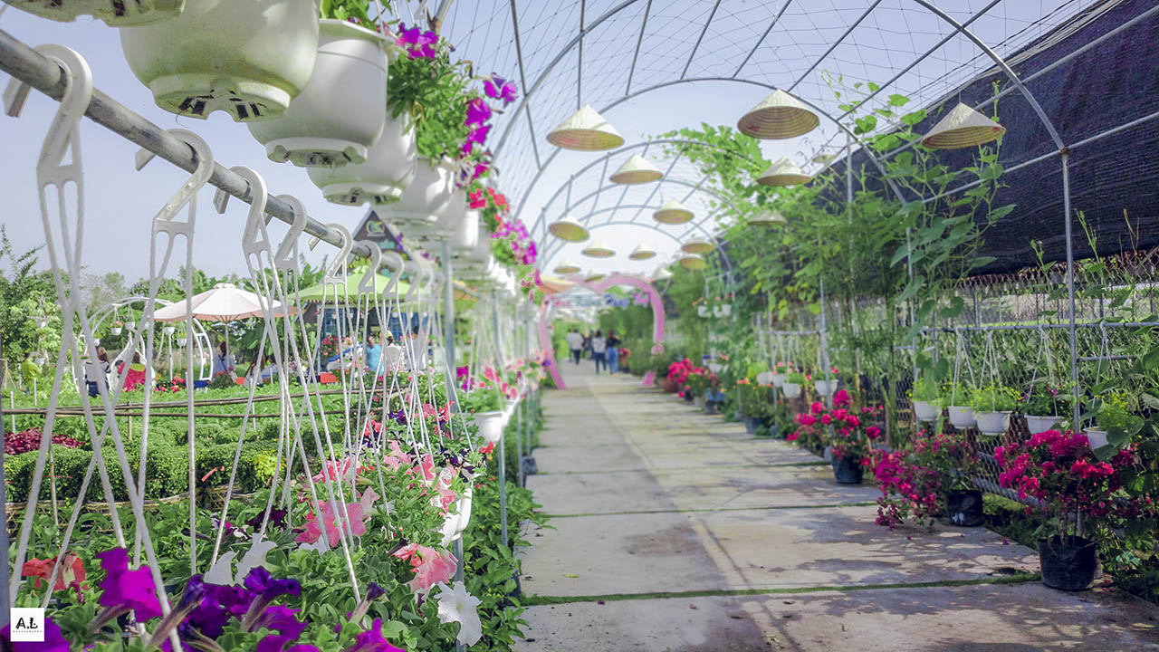 bộ ảnh làng hoa Sa đéc bằng Nokia 808 PureView