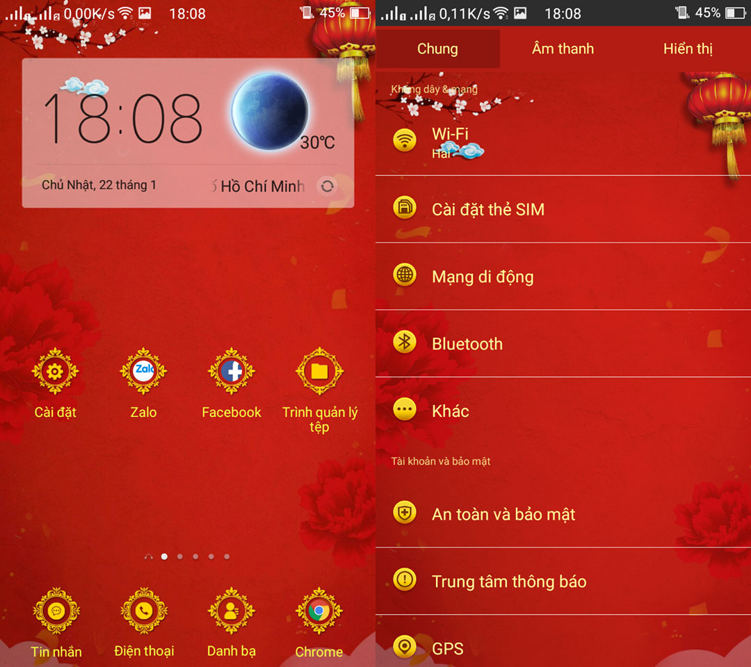 Theme Tết Đinh Dậu