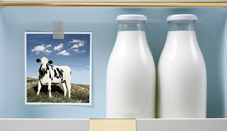 Sữa tươi là nguồn dưỡng chất dồi dào cho cơ thể