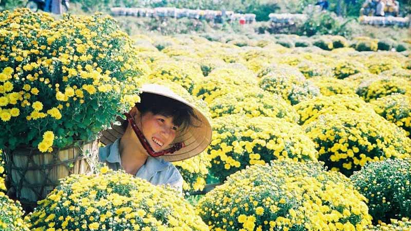 Hoa đã nở rộ để đón xuân sang!