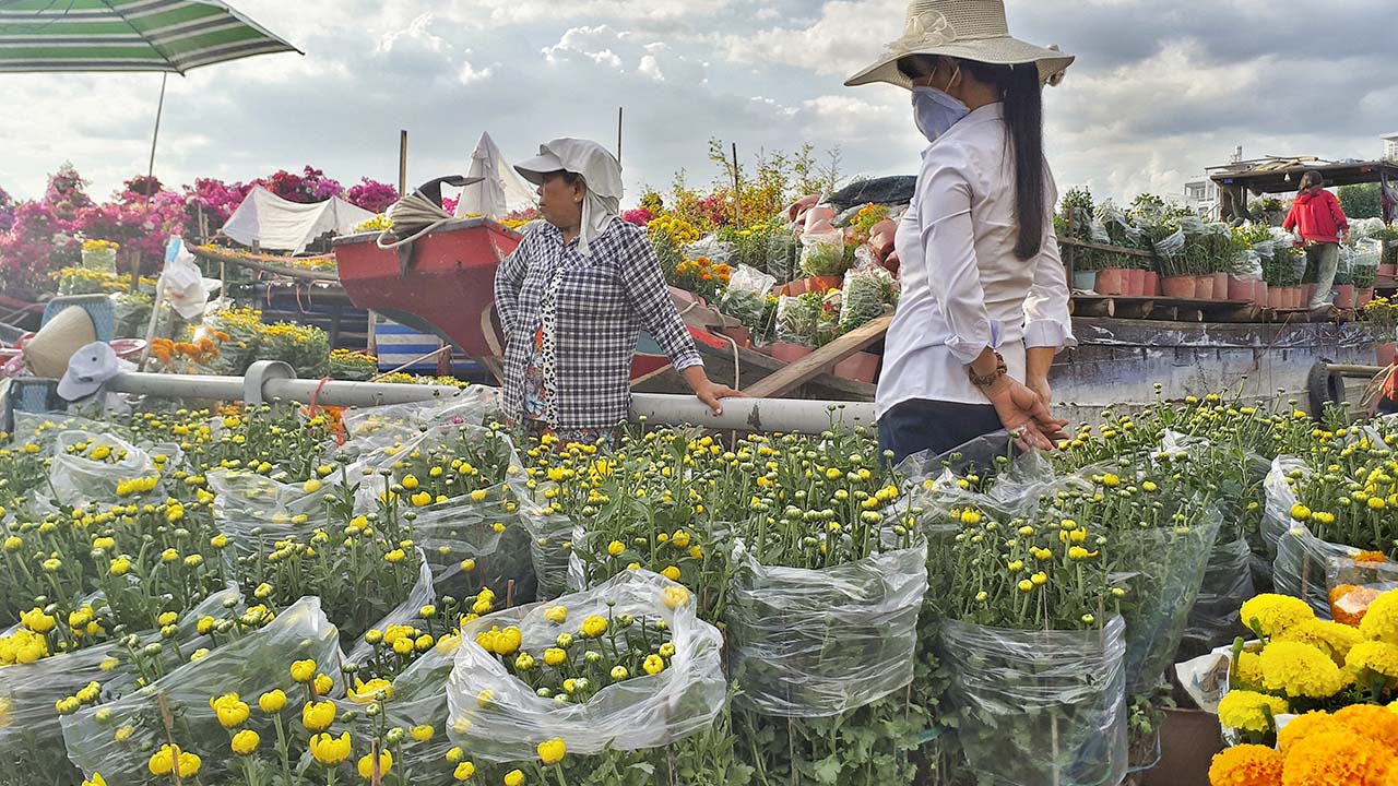 bộ ảnh ngày Tết bằng Galaxy A7 2017