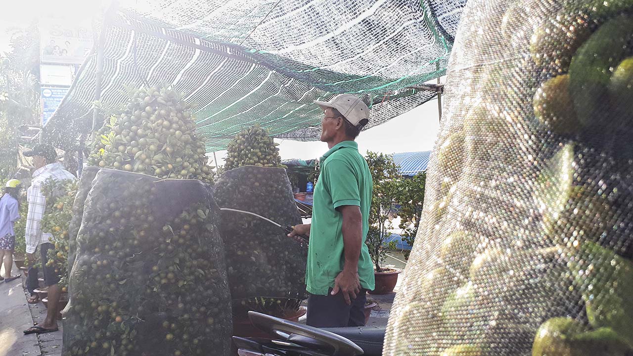 bộ ảnh ngày Tết bằng Galaxy A7 2017