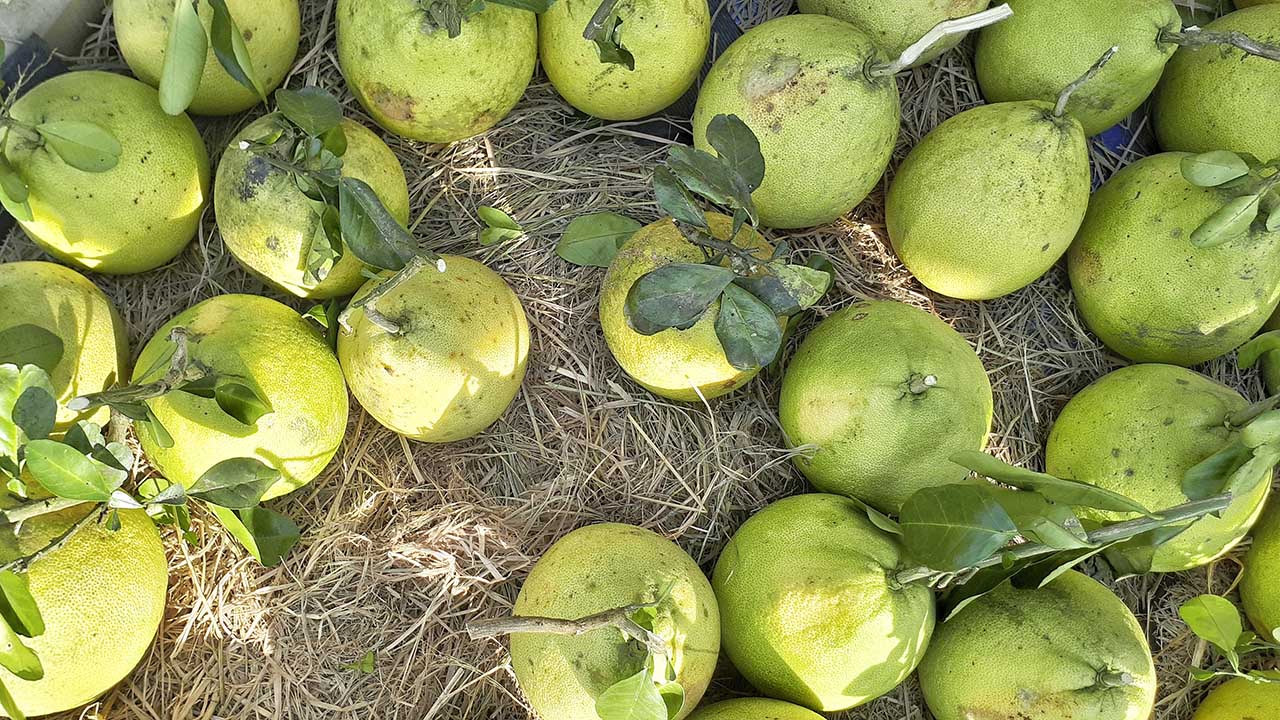 bộ ảnh ngày Tết bằng Galaxy A7 2017