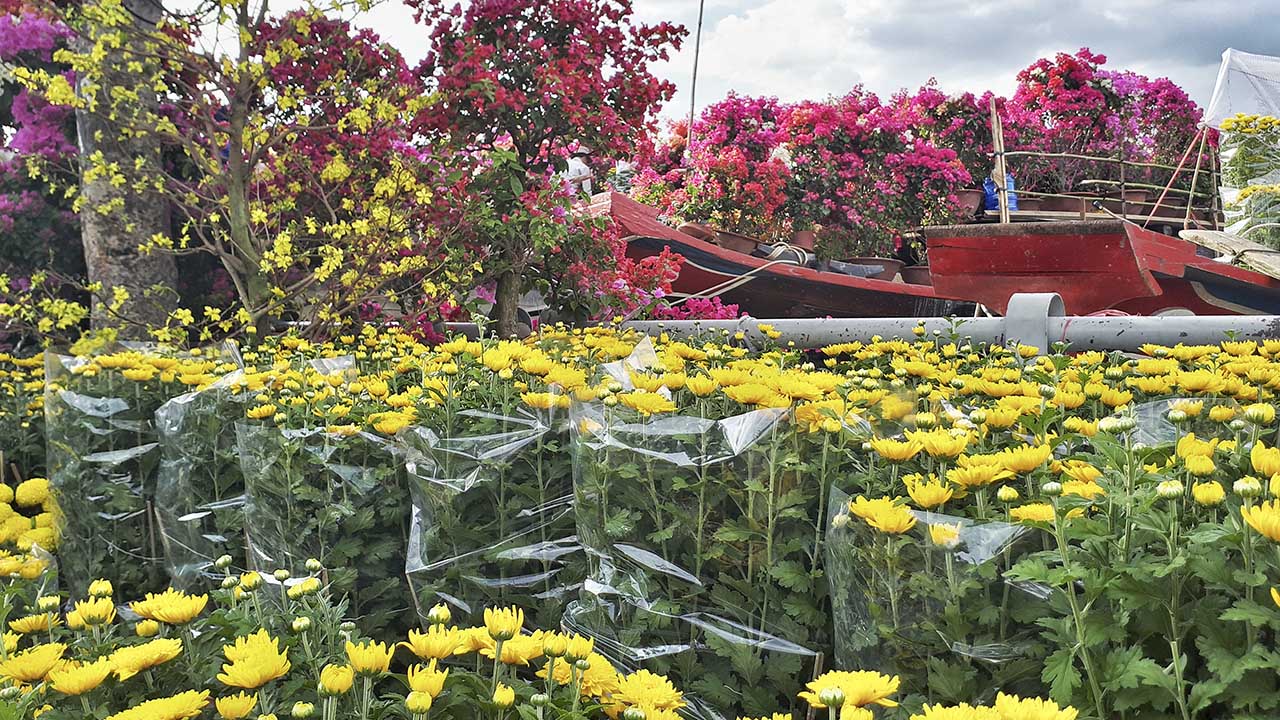 bộ ảnh ngày Tết bằng Galaxy A7 2017