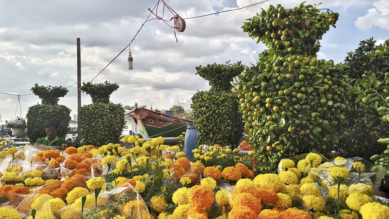 bộ ảnh ngày Tết bằng Galaxy A7 2017