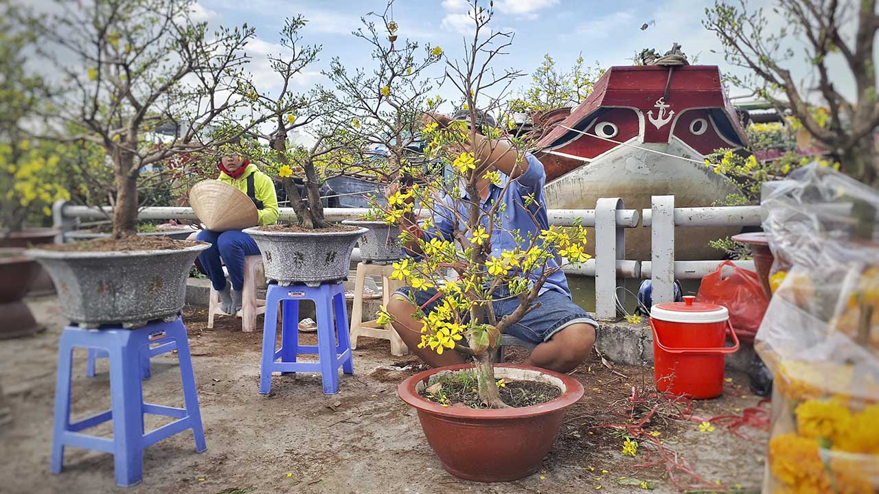 bộ ảnh ngày Tết bằng Galaxy A7 2017