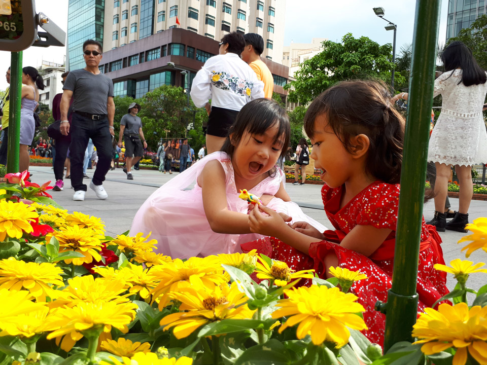 a5_201723of178_960x720 a5_201723of178_960x720