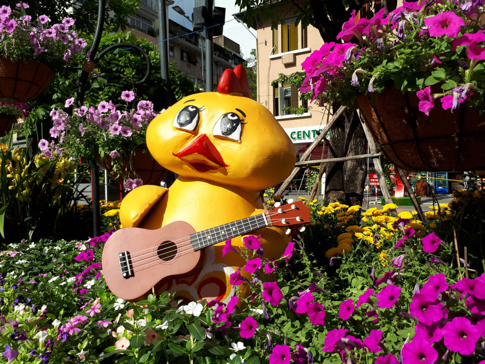 a5_201761of178_960x720 a5_201761of178_960x720